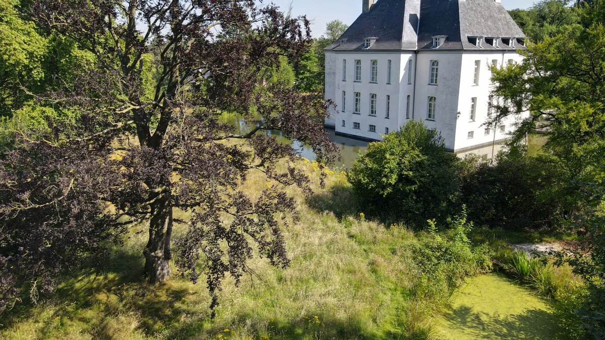 A beautiful historic white chateau set amidst lush greenery and a serene pond, perfect for travel inspiration.